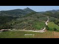 Thestia vineyards
