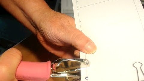 DIYFish Inserts Personal Size