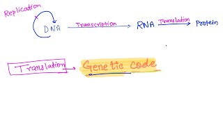 Genetic code | NCERT explained line by line | George gamow | #geneticcode #codon