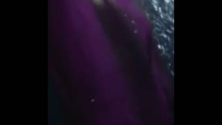 Stan Twitter Boy Jumping Into The Pool And Turning Into Marina Diamandis