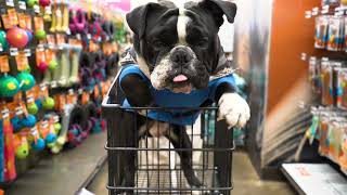 Conoce más sobre Petco