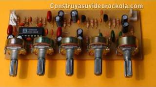 Preamplificador Para Microfono Con Reverb Y Delay