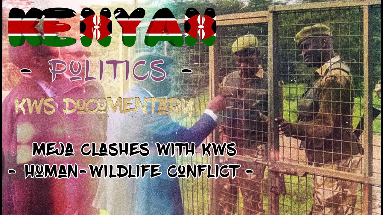 KWS DOCUMENTARY (Human-Wildlife Conflict) #kingdomfilms #mheshimiwameja #film #drama #kenyanpolitics