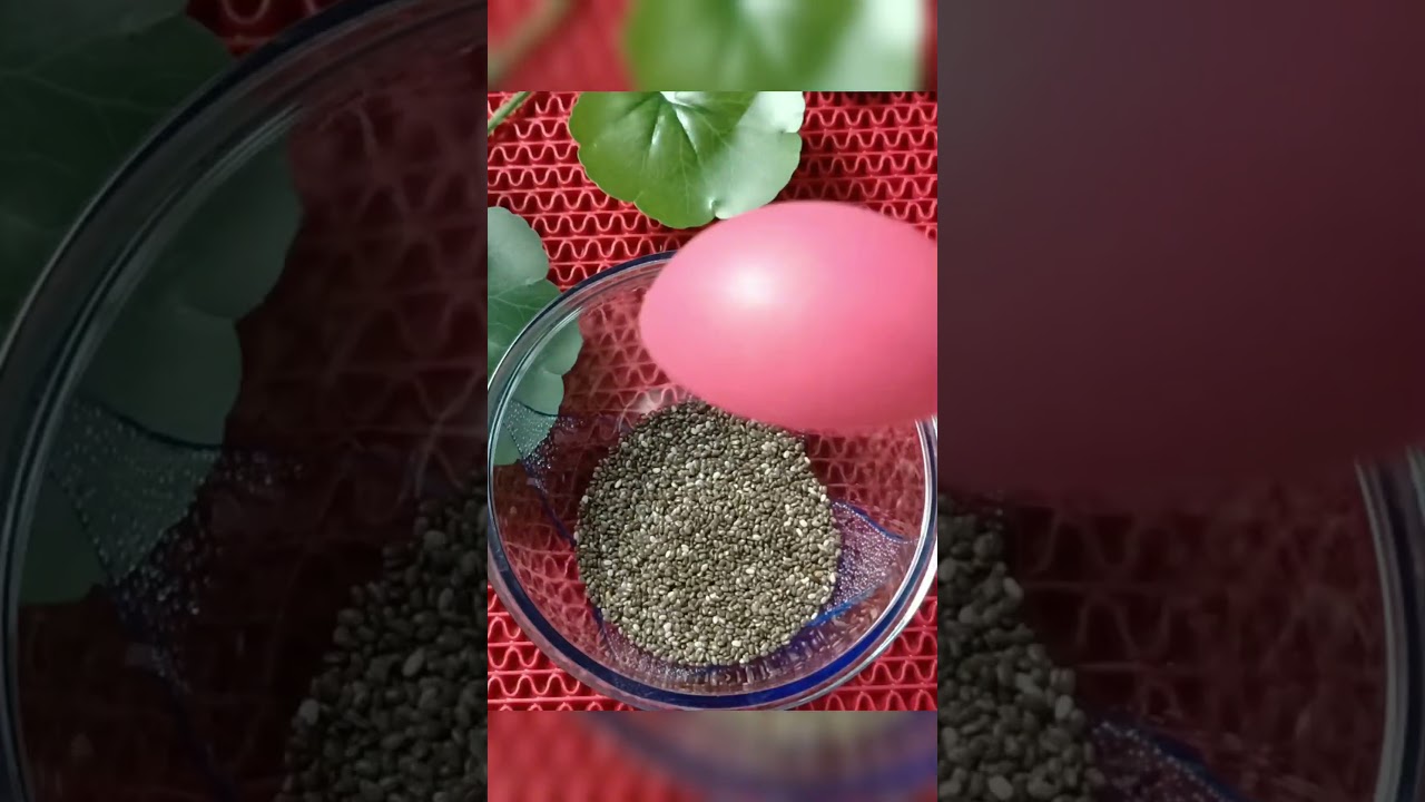 kiwi 🥝 mojito recipe 