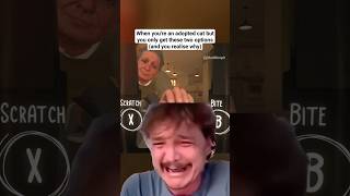 Saddest moment in this new cat game screenshot 5