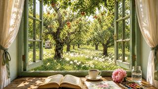 a peaceful place 🌿 soft piano for deep focus, reading, writing, studying & working screenshot 5