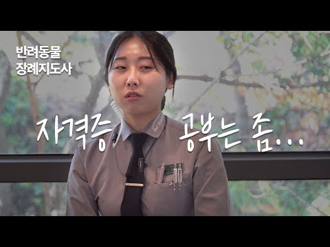 반려동물 장례지도사가 되는 가장 쉬운 방법은? (매우 현실적)