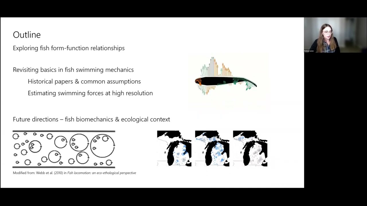 Fish swimming biomechanics: surface pressure and thrust generation during carangiform by Phd K Lucas