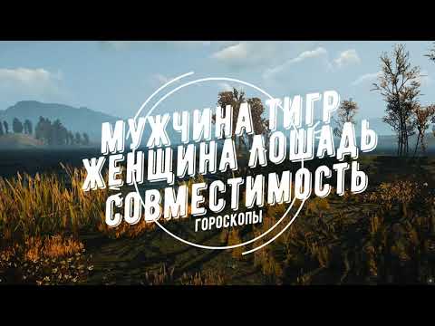 Совместимость мужчина Тигр и женщина Лошадь