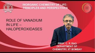 Exclusive Week 5-Lecture 22 Profile