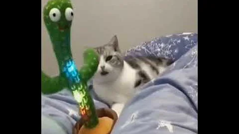 Watch the video about Funniest Cats 😹 Baby Cats - Cute and Funny Cat Videos Compilation 😂 - Funny Cats Life #shorts