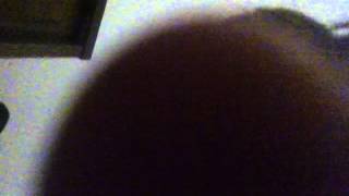 IMG 5660