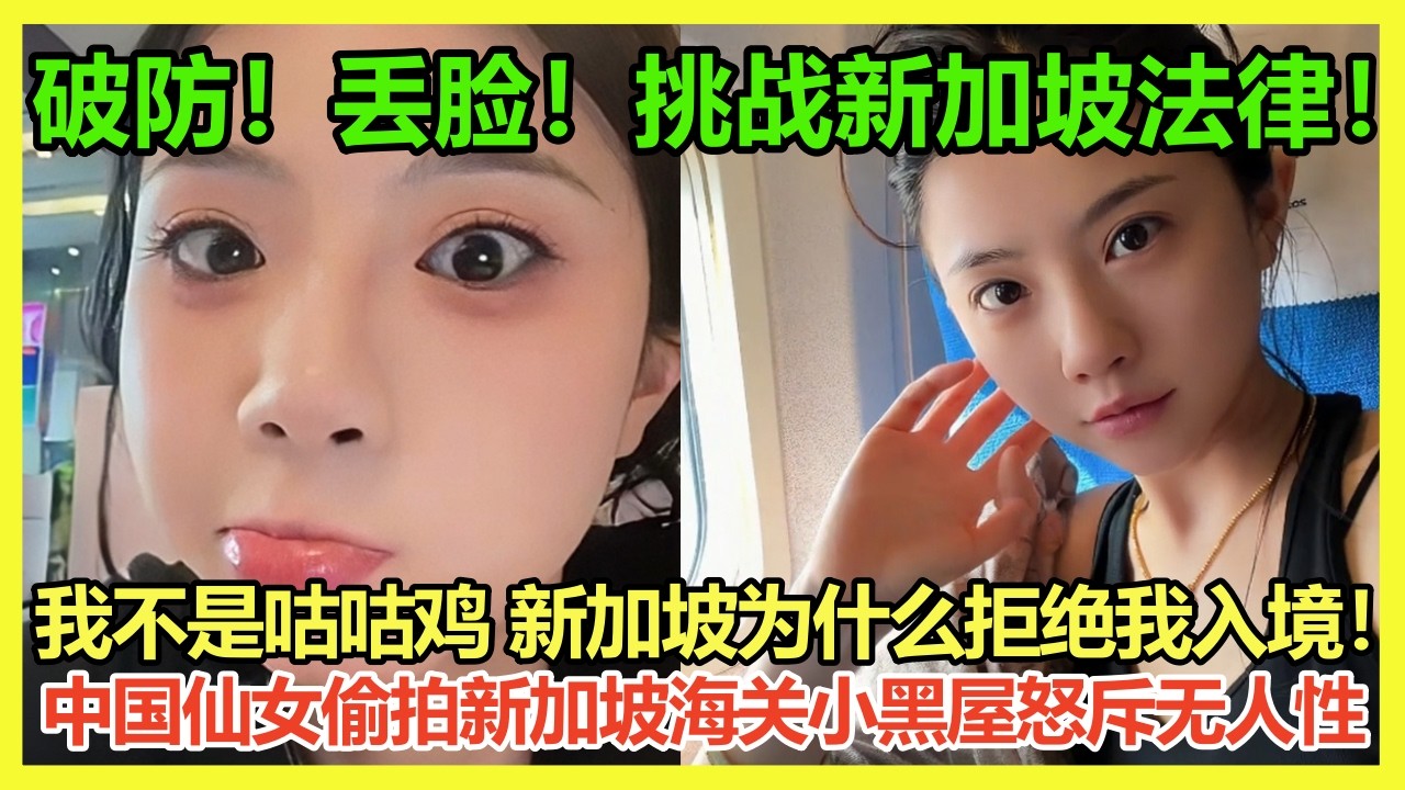 大快人心！「我不是咕咕鸡，为什么不让我入境新加坡」中国网红仙女入境新加坡海关被拒！知法犯法偷拍新加坡小黑屋自称新加坡无人性！为什么新加坡大量遣返中国人？｜Reaction Video