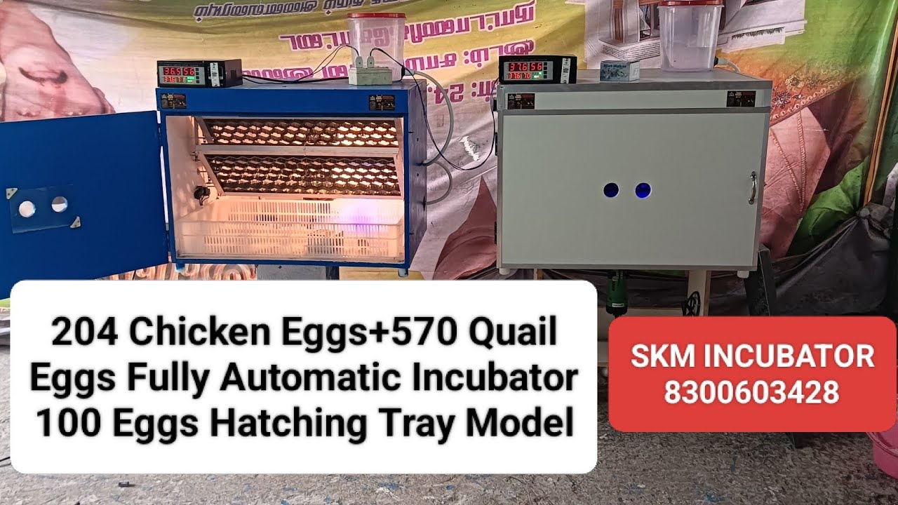 204Chicken Eggs+570 Quail Eggs Fully Automatic Incubator 100 Eggs hatching Tray model 8300603428