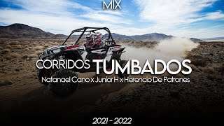 Natanael Cano, Legado 7, Junior H, Fuerza Regida, Herencia De Patrones🔥MIX CORRIDOS TUMBADOS 2021👿