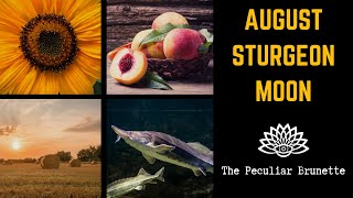 AUGUST STURGEON FULL MOON SPIRITUAL MEANING FOR PAGANS AND WITCHES