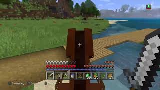 Everyones Playing Minecraftcito 3