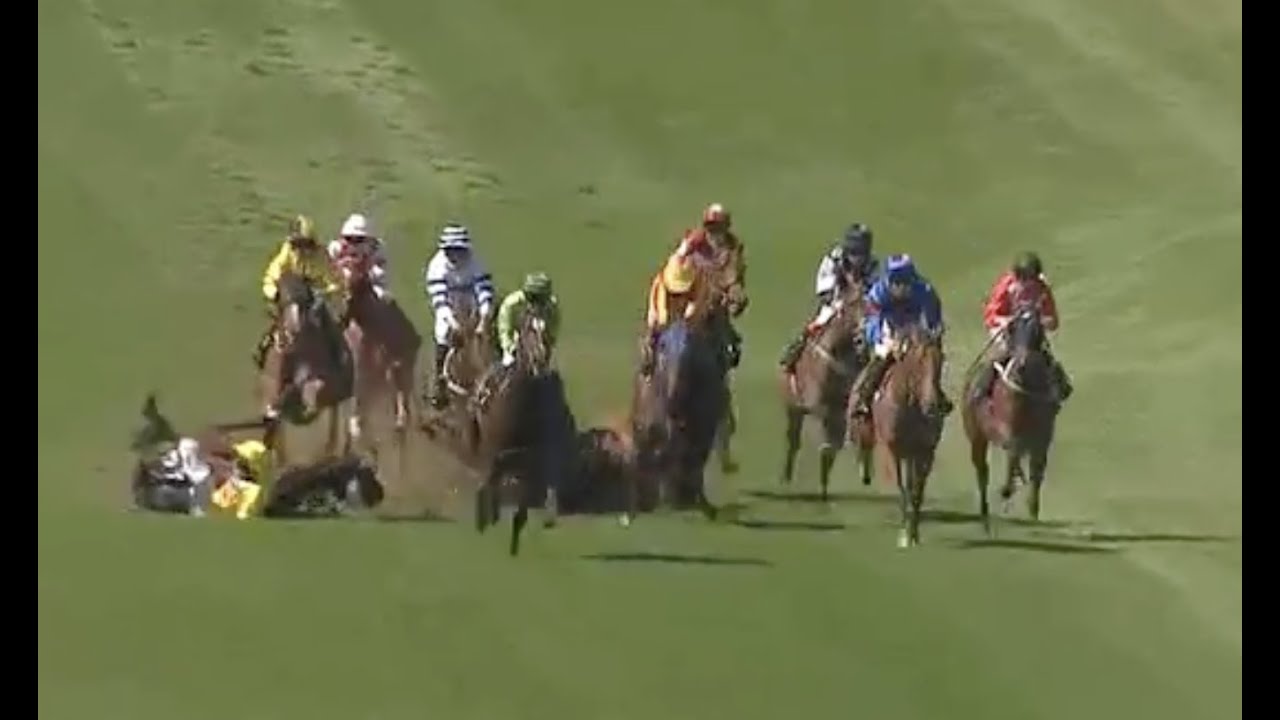 Horse Racing Death 105 Oliveraie at Chepstow Racecourse YouTube