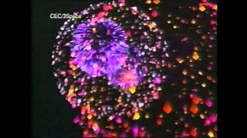 2. Autodesk 1993 3D Studio Computer Animation - Part 2 of 3