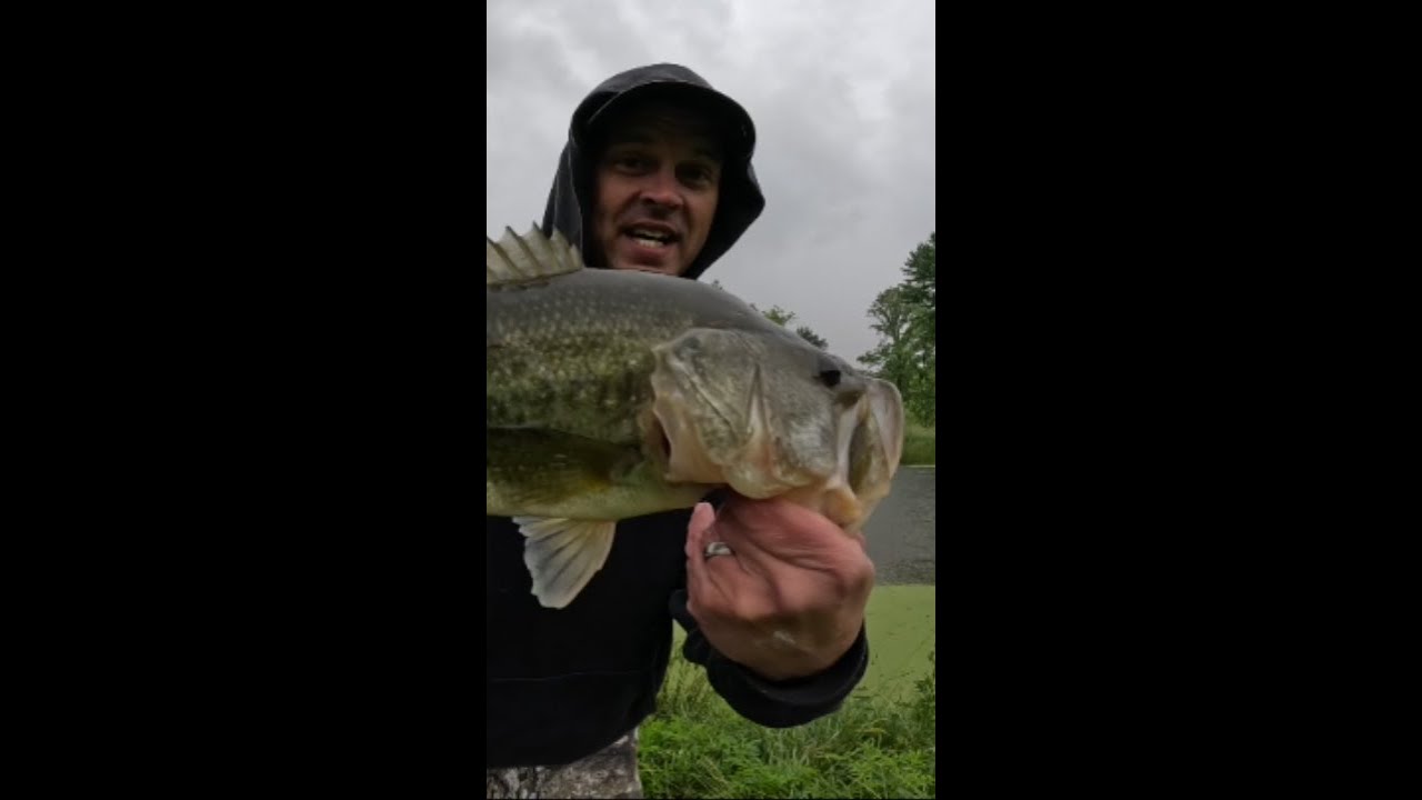 GETTING it ALL Done Today 