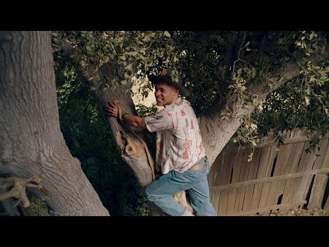 Mike and the Guys Are Stuck in a Tree - Bless This Mess