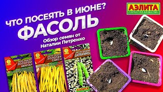 ЧТО ПОСАДИТЬ В ИЮНЕ? Обзор семян ФАСОЛИ от Наталии Петренко!