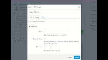 Video Tutorial Embedding an Image for Canvas Discussion Board Critique