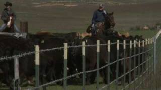 The Last Cowboy