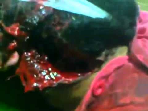 بصرى الشام الشهيد حامد المقداد التمثيل بالجثة 14 8 2012