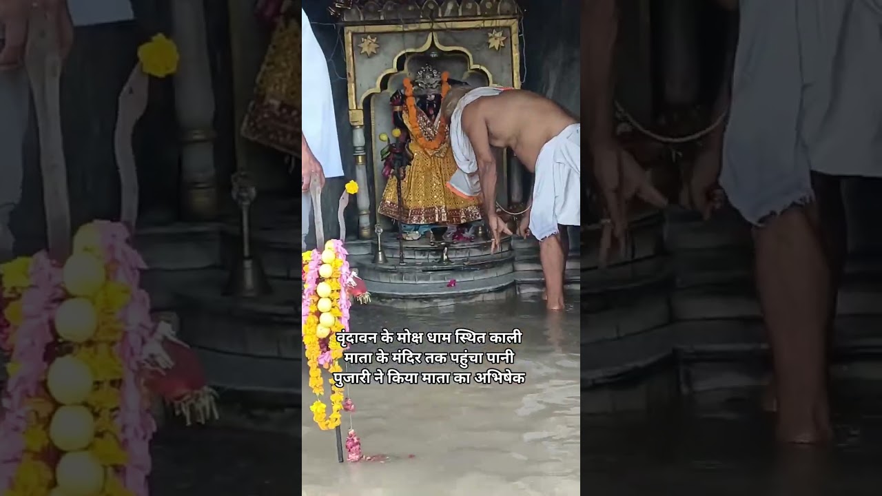 वृंदावन मोक्ष धाम तक पहुंची यमुना जी|| Yamuna ji Vrindavan|| Yamuna Floods