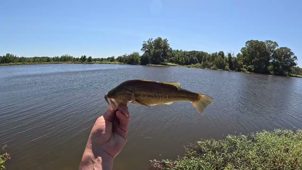 Bass Fishing Private Lake-Fast Action