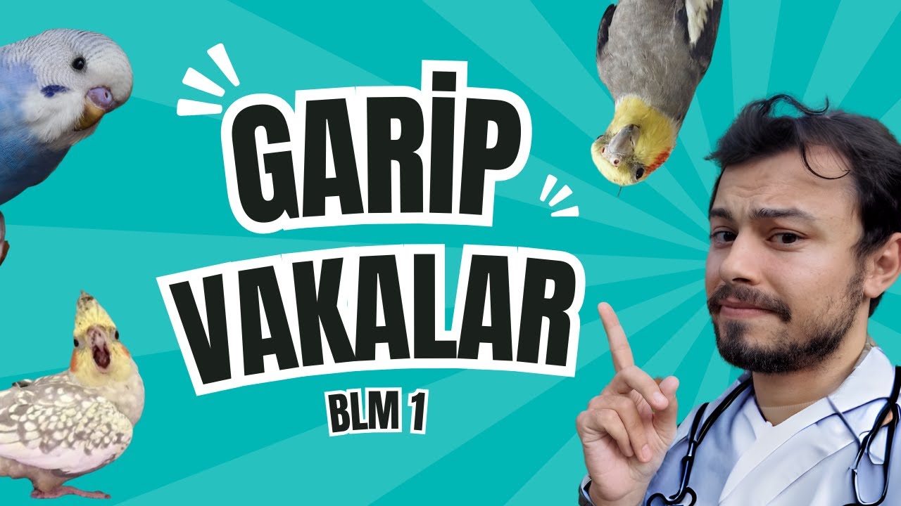 Kuşlarda Görülen İlginç Hastalıklar!