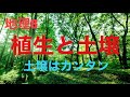 地理B 攻略講座7 植生と土壌