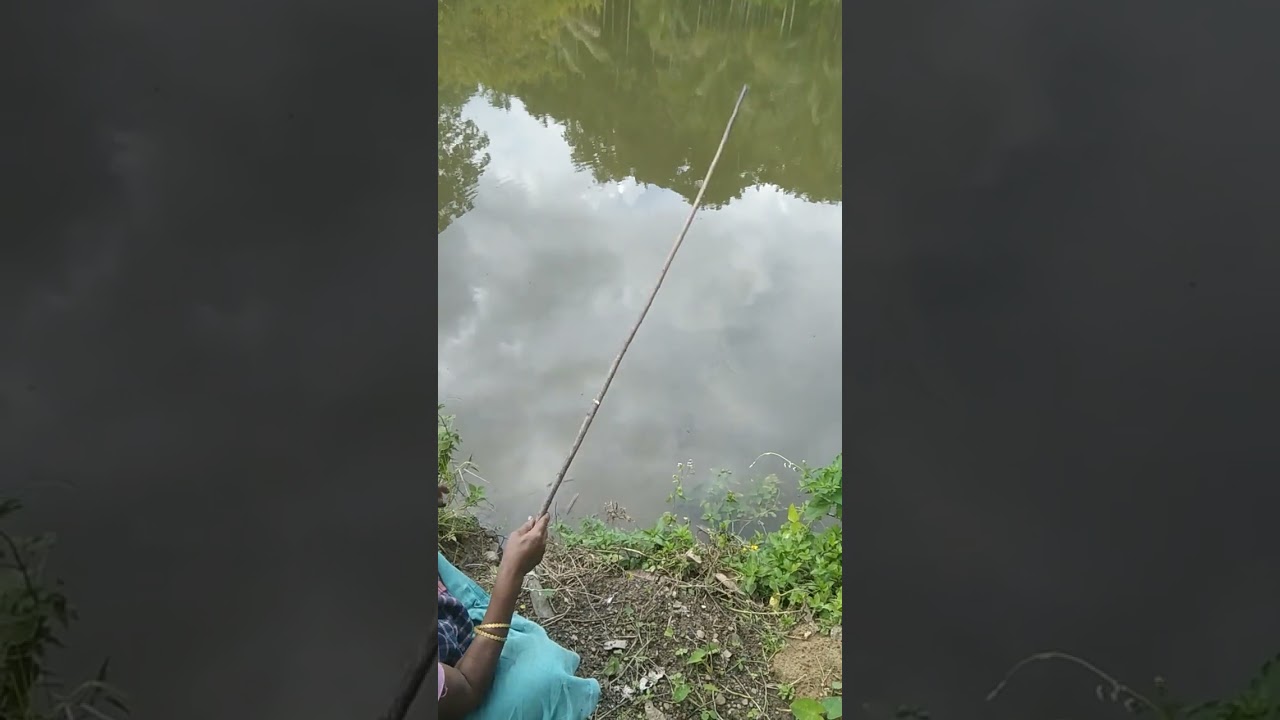 #shortvideo #from #shyamkund