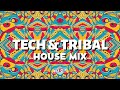 Tech house mix  2023 may