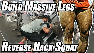 Reverse Hack Squat | Try This Exercise To Build Massive Legs!