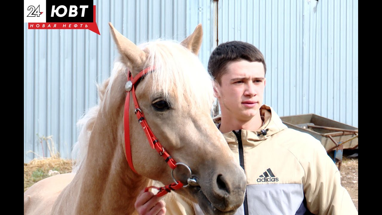 160 лошадей. Конно спортивная школа Тайсуганово. Лошадка Вернись. Малый конь. «Укротитель-с».