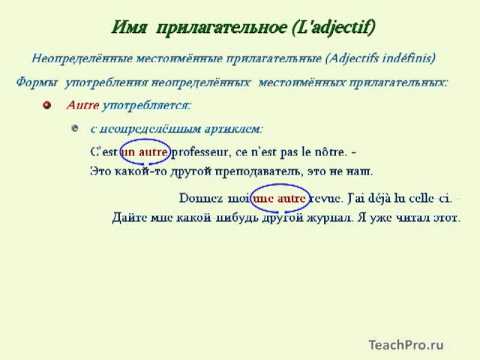 12  Неопределённые местоимённые прилагательные