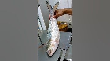 All famous river Hilsha fish cutting amazing skills video #youtube #shorts #fish#fishing #shortvideo