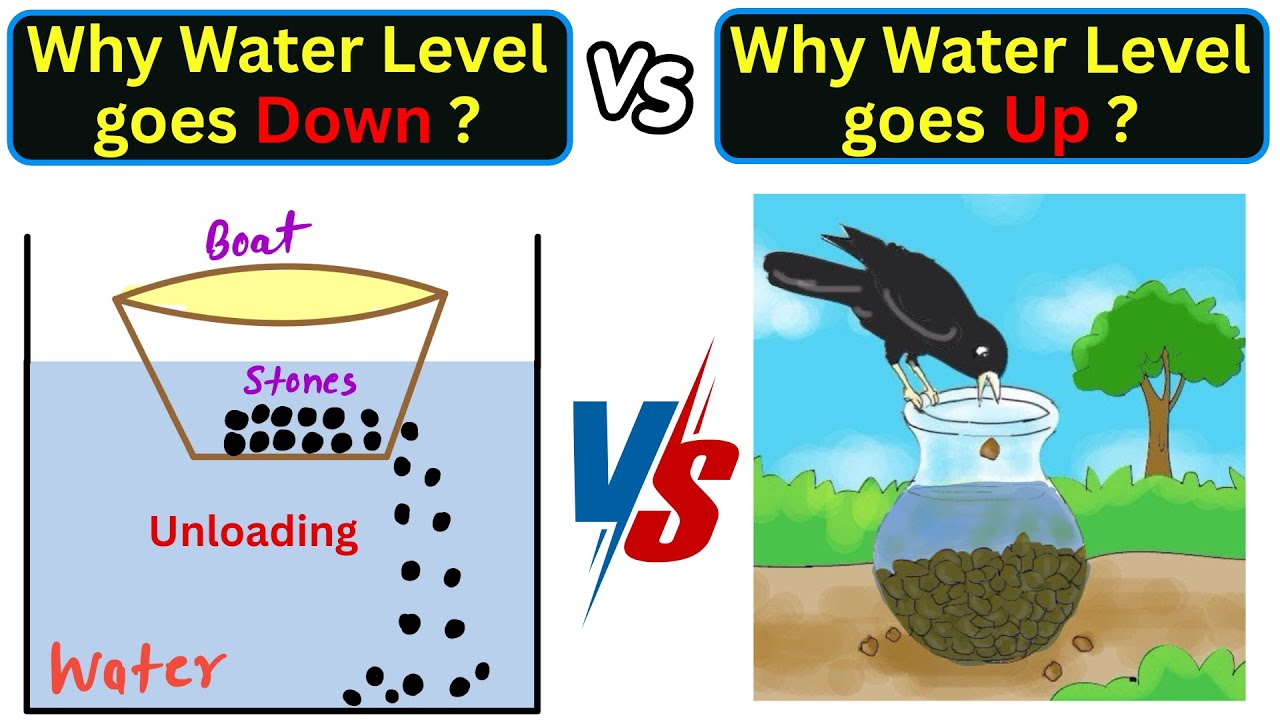 Why Does Water Level Fall When Stones Are Unloaded From a Boat ? | JEE & NEET MUST-KNOW Concept!