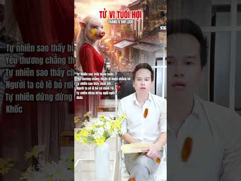 Tử vi tuổi Hợi 2026 lịch phong thuỷ cát hung Ý nghĩa sao Thiên Khốc Thiên Hư #tuvi2027 #phongthuy