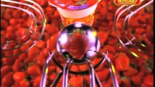 Winiary Flipper 2003