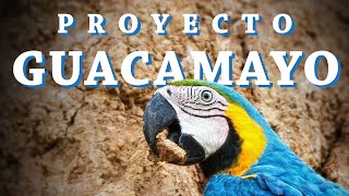 El Proyecto Guacamayo | Documental