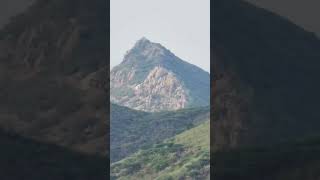 Aravali hills, Alwar