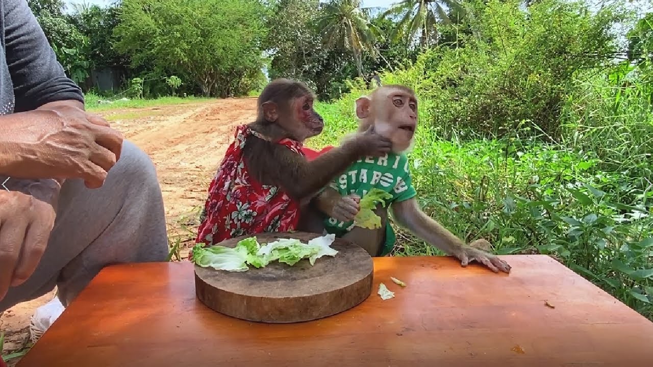 Enjoying Relaxing Outdoor Icy & Bryan.  