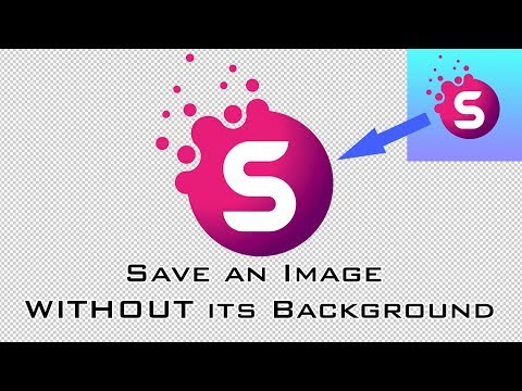 Photoshop Basics Tutorial: How to Save an Image With & Without Its Background