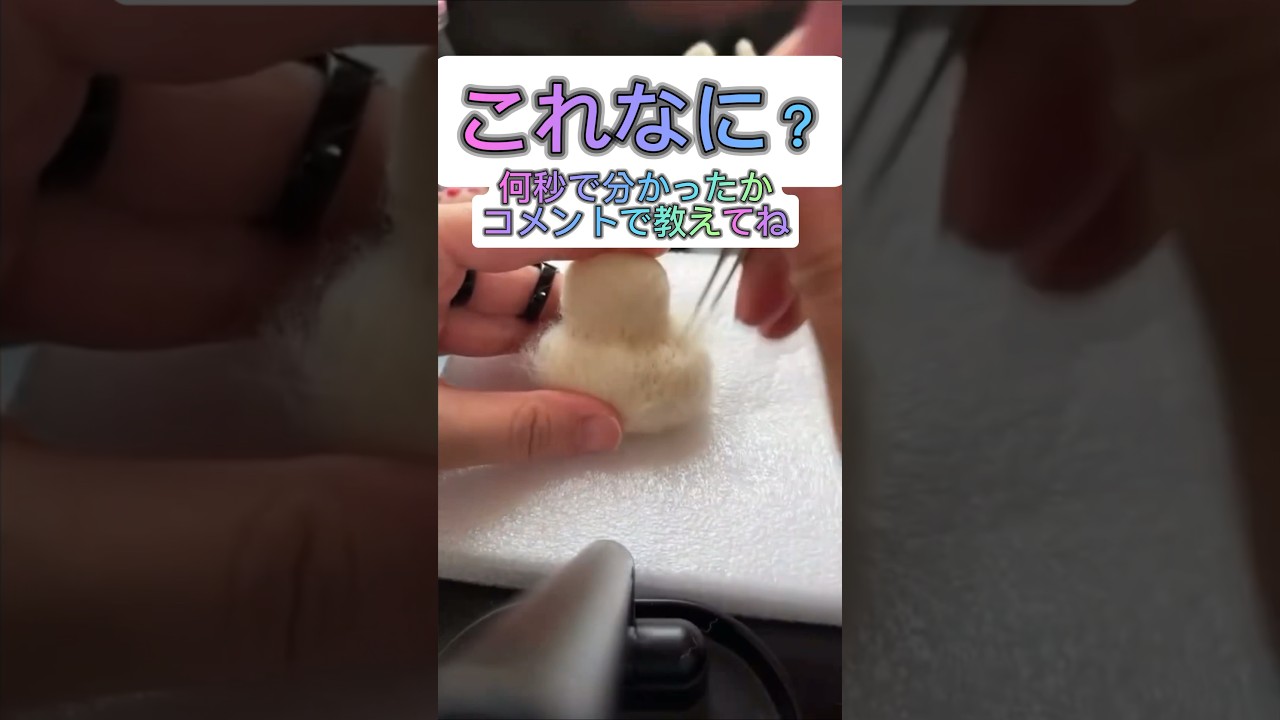 羊毛フェルトで作ってみたよ！これなんでしょう！？#needlefelting