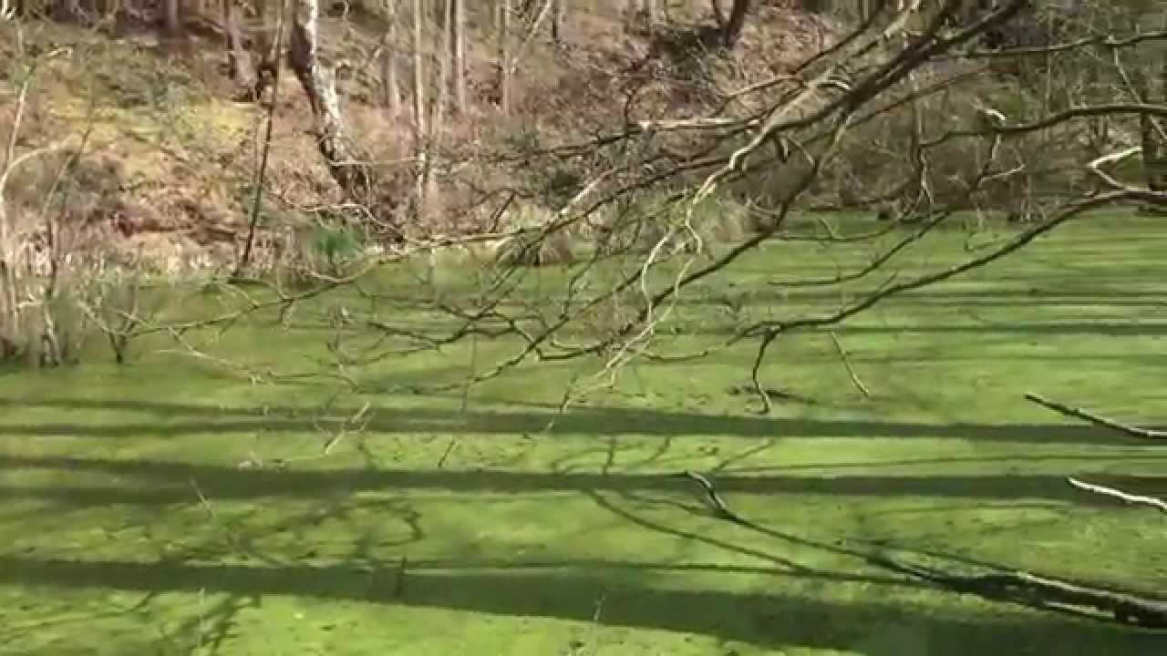 'Like A Surgeon' - COGWHEEL (recorded for the very first time)