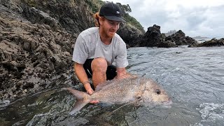 SOFTBAITING NORTHLAND LANDBASED.BIG SNAPPER