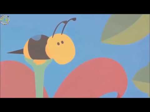 kHOA HOC 5 BÀI 52 SỰ SINH SẢN CỦA THỰC VẬT CÓ HOA - youtube